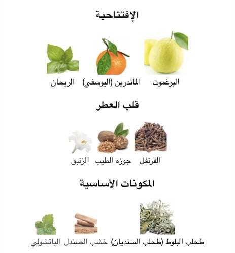 عطر رجالي بور هوم او دو تولت 100ML