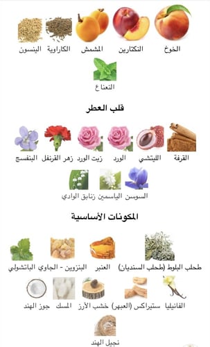 عطر نسائي ايفريس ايف سان لورايت او دو تولت 80ML