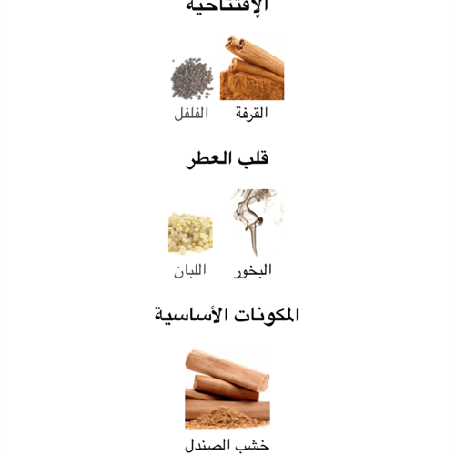 عطر رجالي نوير ابسولتي فالنتينوا او دو برفيوم 100M...