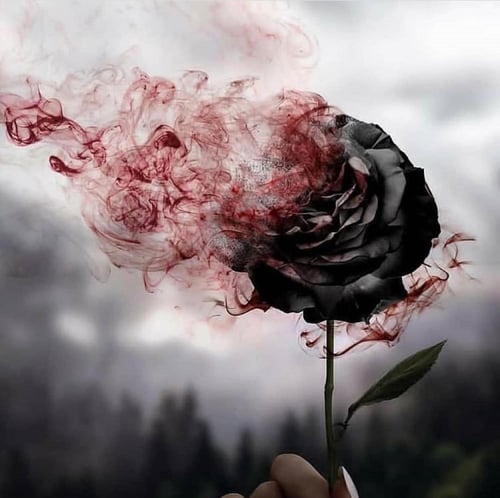 عطر ميني نيش للجنسين عود اصفهان كرستيان ديور 7.5 M...