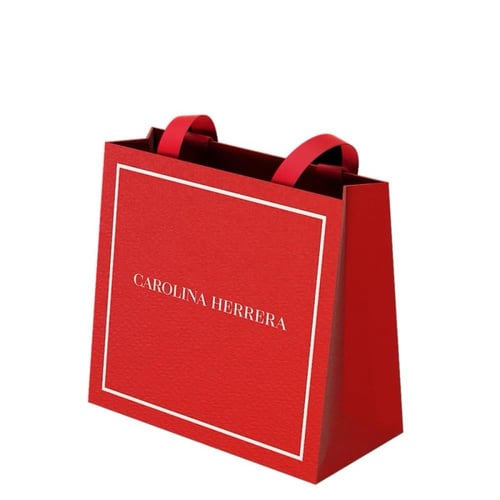 كيس كارولينا هريرا 25 في 23 عمق 12 سم