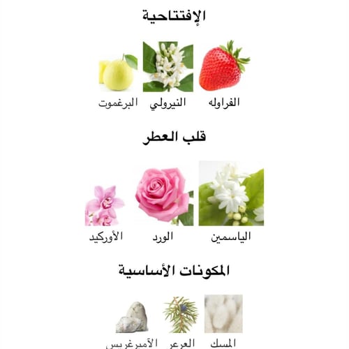 عطر نسائي ميني لا انترديت ابسولو او دو برفيوم انتن...