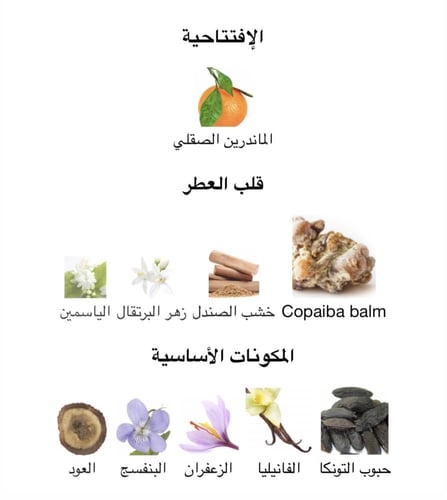عطر نسائي نيش ميني لو جيم روبينيا بولغاري او دو بر...