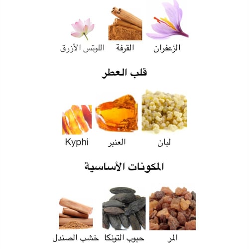 عينة عطر نسائي نيش كوين اوف ذا نايت ذا ميرشنت اوف...