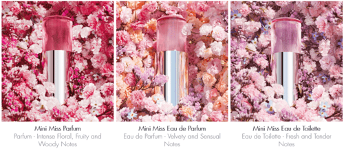 العطر الصلب مس ديور برفيوم الجديد