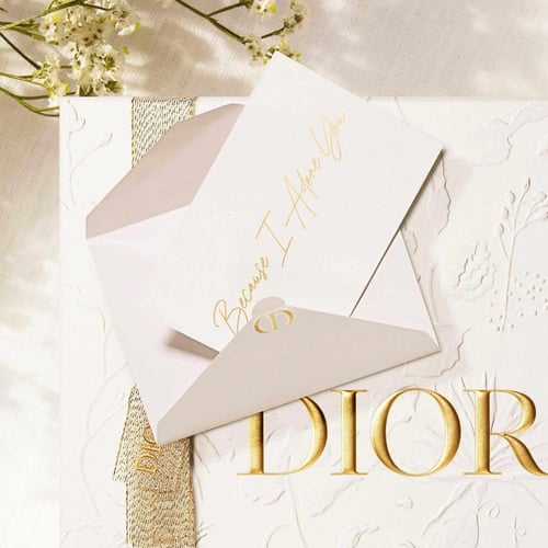 كيس ديور 24 في 18 عمق 8 سم مع الشريطة