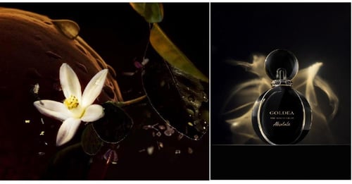 عطر نسائي قولديا ذا رومان نايت ابسولوت بولغاري او...