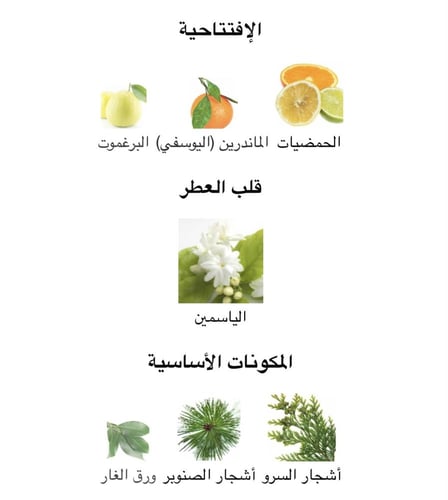 عطر نسائ باراديوس ربرتوا كفالي او دو برفيوم 90ML