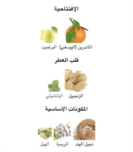 عطر رجالي او دارومز بور هوم او دوتولت 100ML