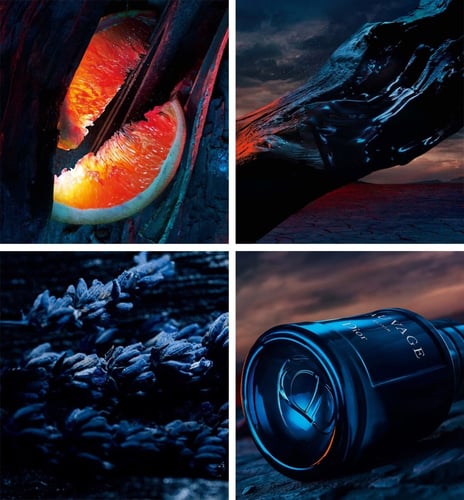 عطر رجالي سوفاج اللكسير 60ML