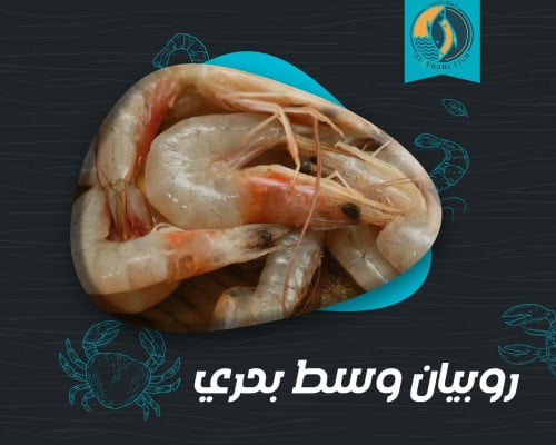 جمبري بحري وسط