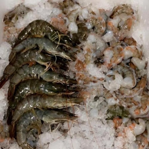 جمبري مزارع