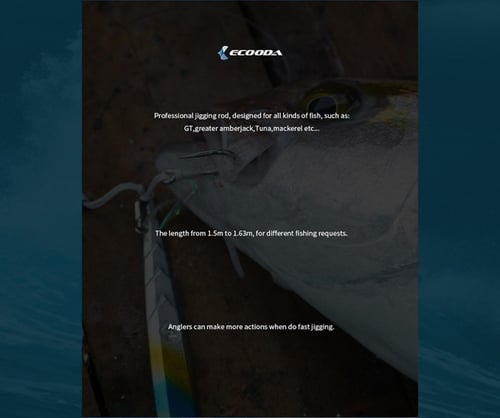 Online E Monster jigging rod EEJR II 532S