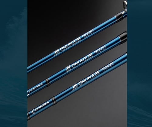 Online E Monster jigging rod EEJR II 542S