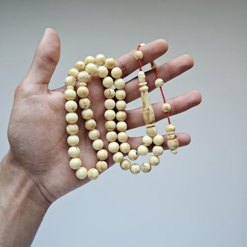 بكلايت بلجيكي تمليكة - بيج ملطخ ببني