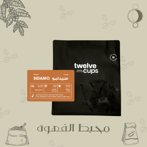 12 كوب - سيدامو 250جرام