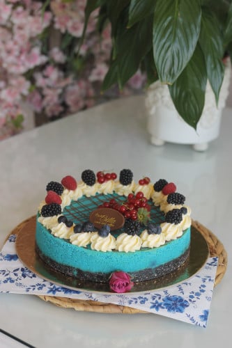 تشيزكيك بلوسكاي وسط