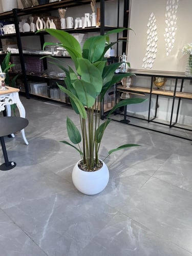 شجرة ورق عصفور الجنة 150سم