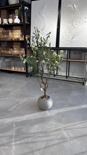 شجرة ورد 150سم رمادي