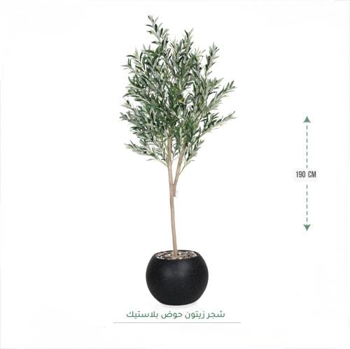 شجرة زيتون 190سم اسود