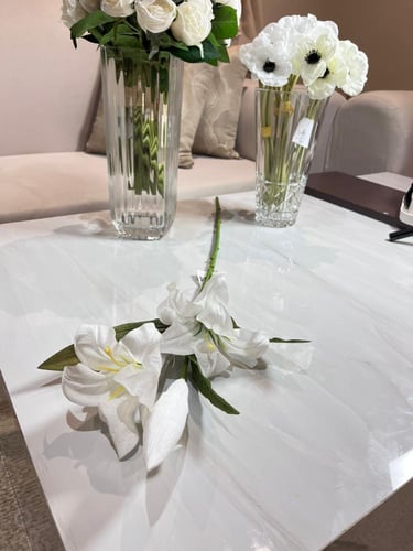 غصن لليوم ابيض 6998