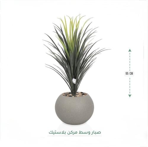 شجرة صبار 95سم