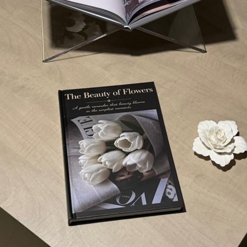 كتاب ديكور