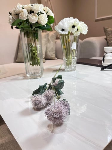 غصن سيرسيوم موف