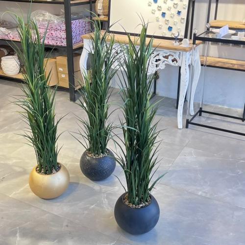 شجرة اسود صبار 115 سم