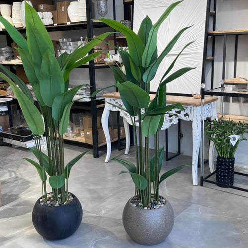 شجرة ورق عصفور الجنة 150سم