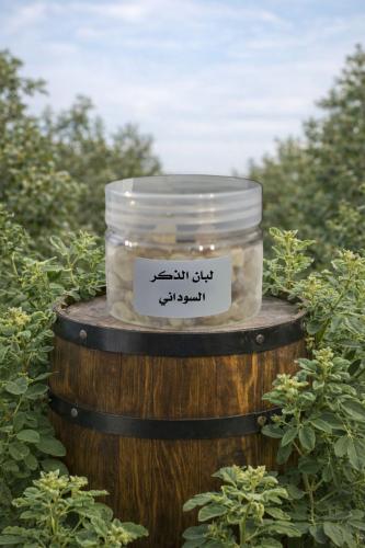 لبان الذكر السوداني