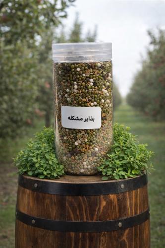 بذاير مشكله