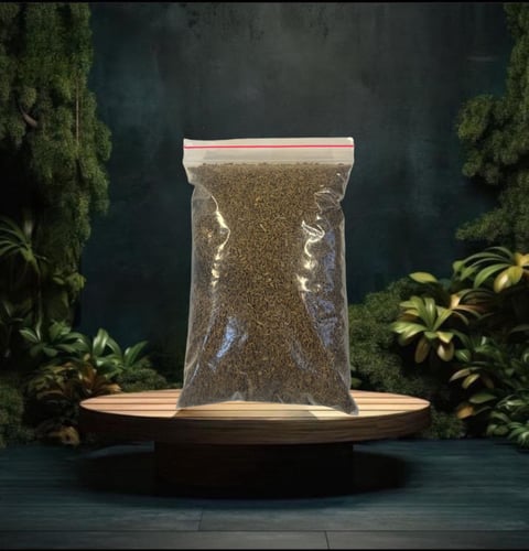 يانسون