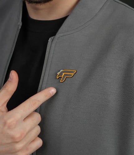 بروش مغناطيس FRS