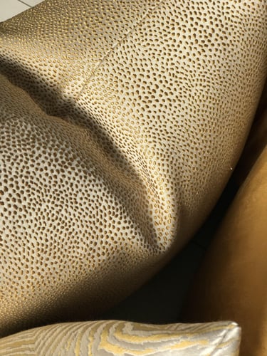 غطاء وسادة إيلين منقط ذهبي