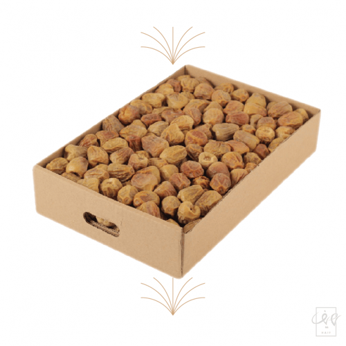 سكري مفتل ملكي