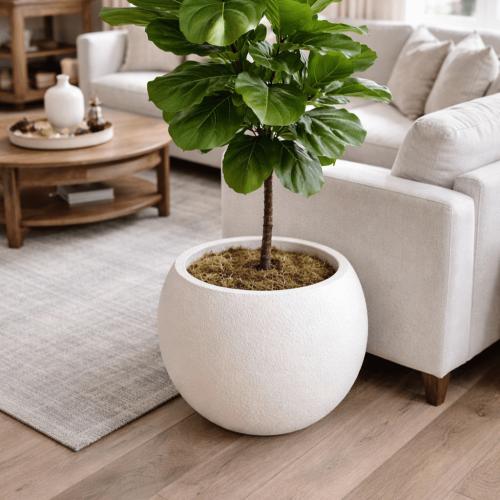 ‏حوض فخار وسط