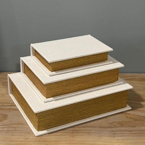 صناديق جلد GLOBO