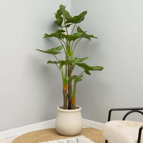 شجر صناعي DIEFFENBACHIA