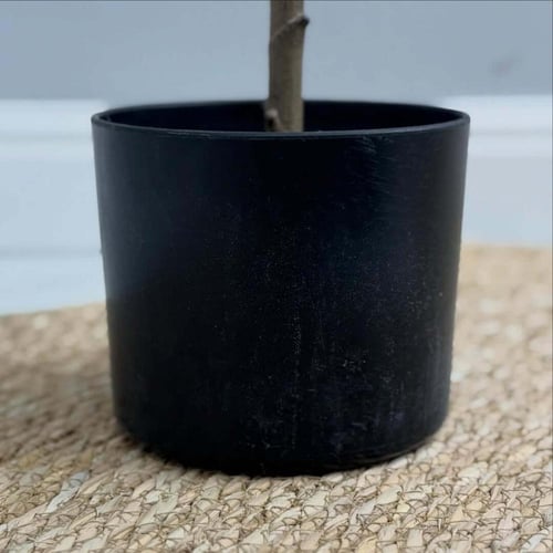 شجر صناعي ACACIA