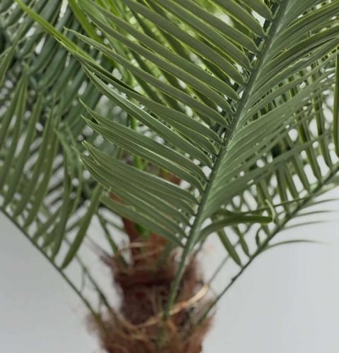 شجرة صناعية خضراء CYCAS REVOLUTA
