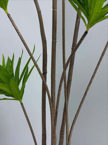 شجر صناعي LEAFY