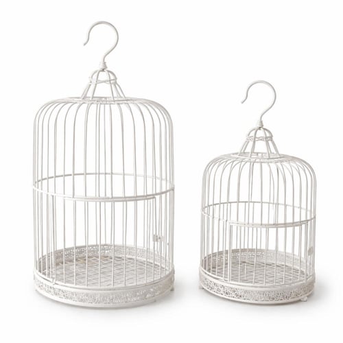 اقفاص حديد ابيض