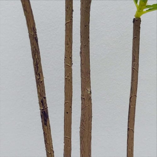 شجر صناعي LEAFY