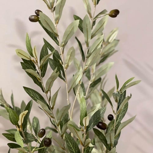 شتلة زيتون صناعي OLIVANTO