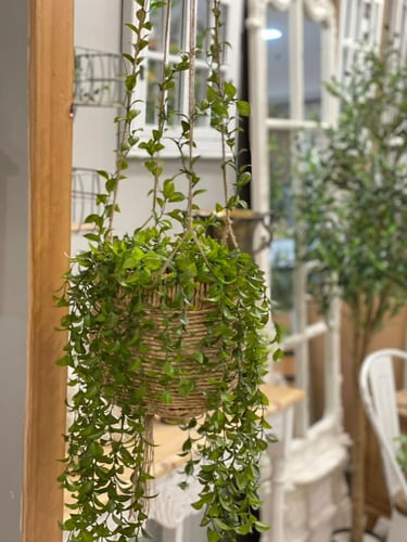 مركن زرع صناعي مكرمية