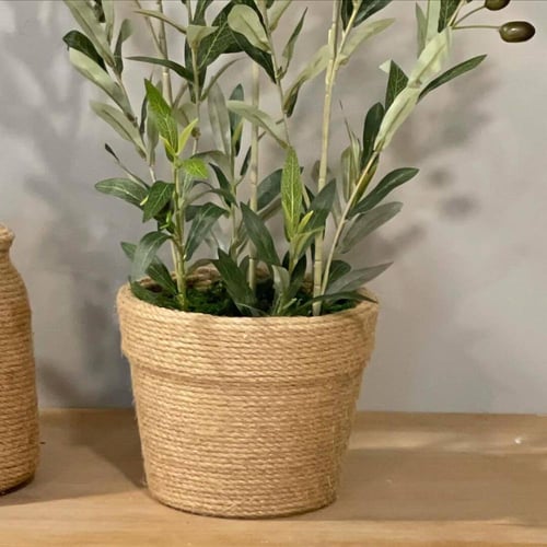 شتلة زيتون صناعي OLIVANTO