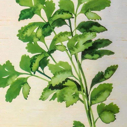 ‎مجموعة براويز جدارية خشب