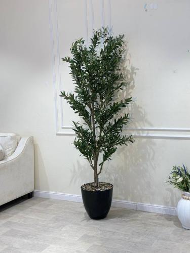 شجرة زيتون صناعية ديكورية – ارتفاع220سم