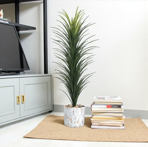 شجرة صبار حوض بلاستيك مقاس 170 سم